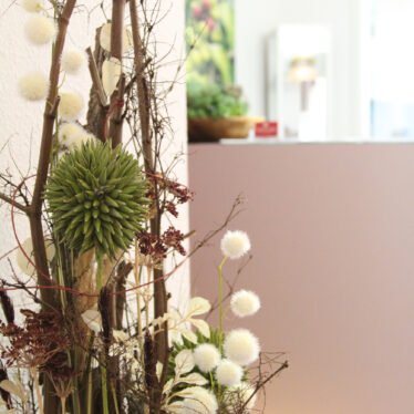 heller und freundlicher Empfangsbereich Zahnwohlpraxis Wollgramm