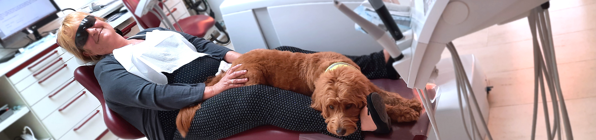 Hund gegen Angst Zahnarzttermin mit Hund Praxis Sandra Wollgramm Markersdorf